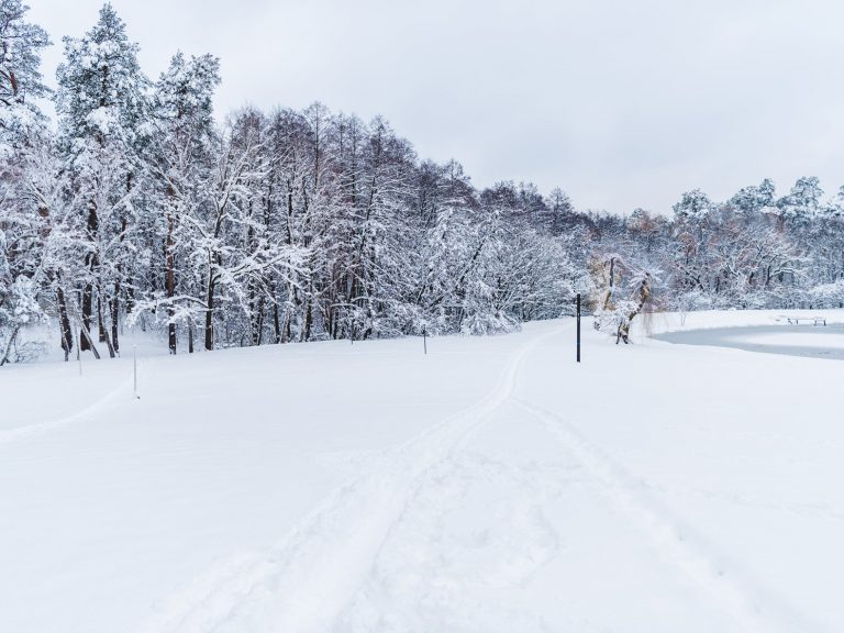 5 Tips to Keep Warm | Future Insurance Agency