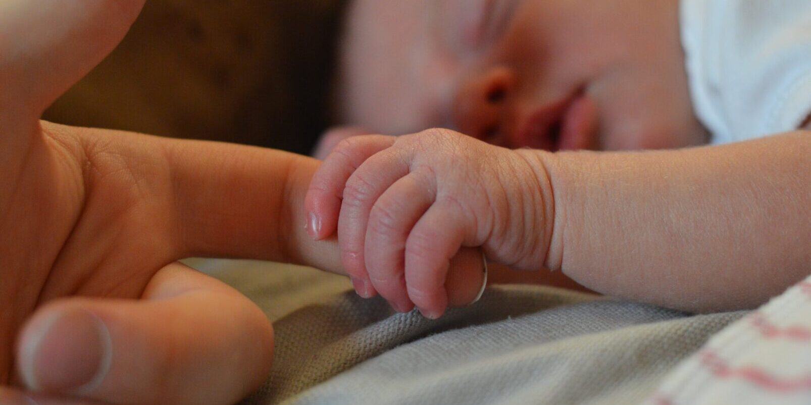 Life Insurance 101 | Future Insurance Agency