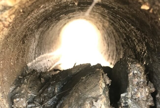 Service Line Coverage