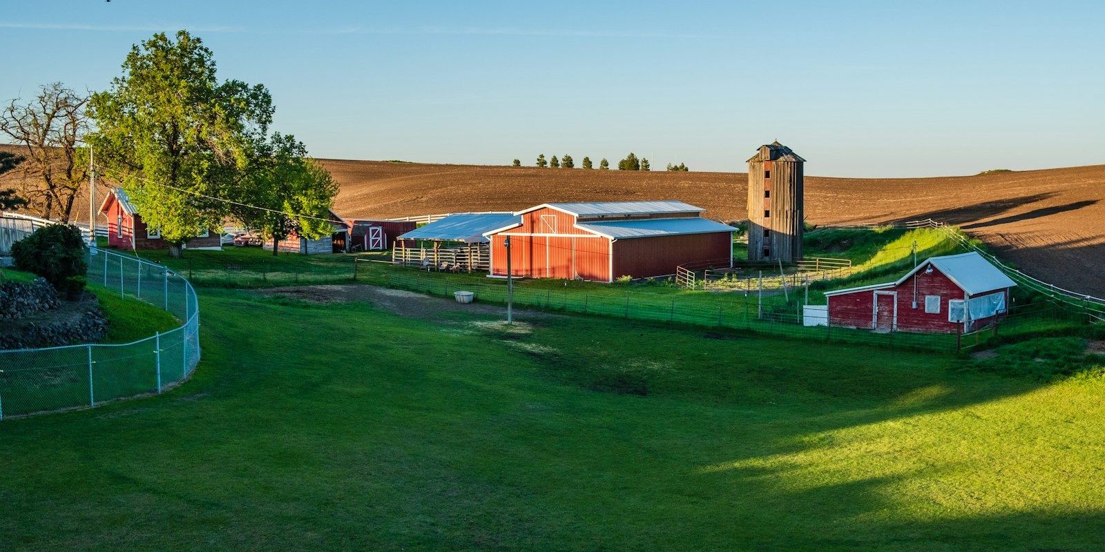 barn on green field